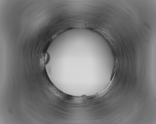X0000112470190200908170958