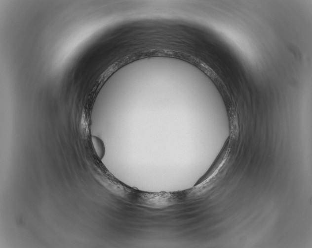 X0000112470191200908170958