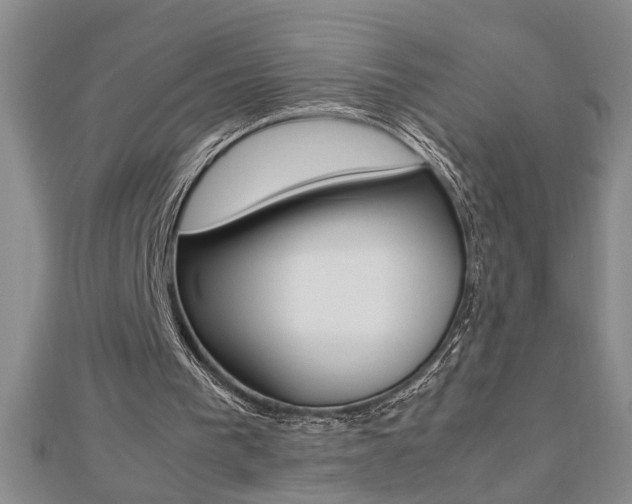 X0000112470193200908170958