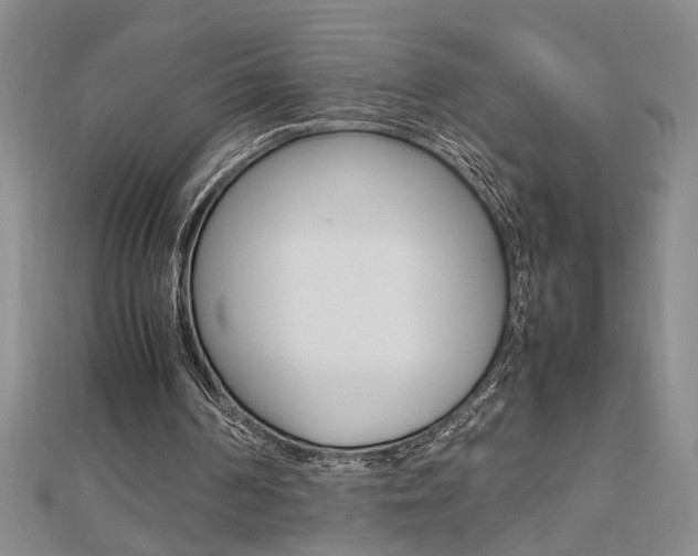 X0000112470194200908170958