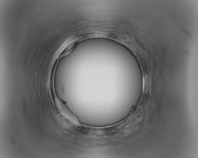 X0000112470195200908170958