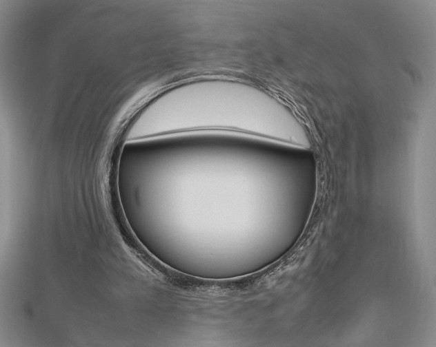 X0000112470197200908170958
