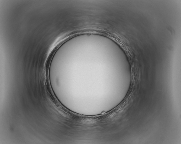 X0000112470198200908170958