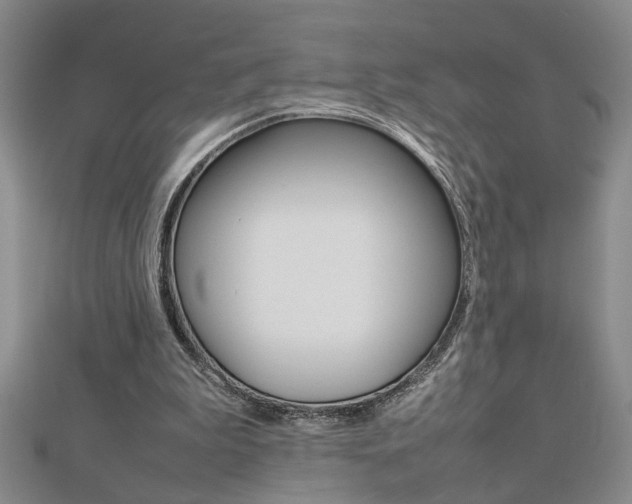 X0000112470199200908170958