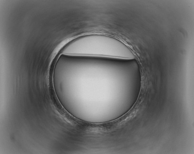 X0000112470200200908170958
