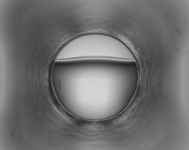 X0000112470201200908170958