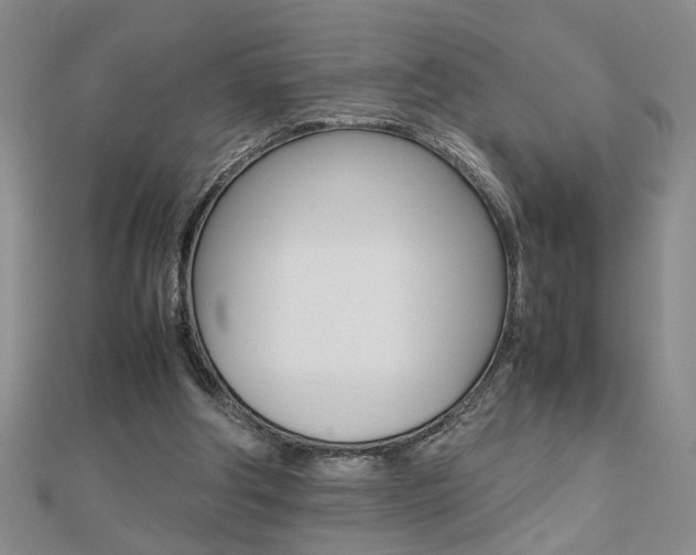 X0000112470202200908170958