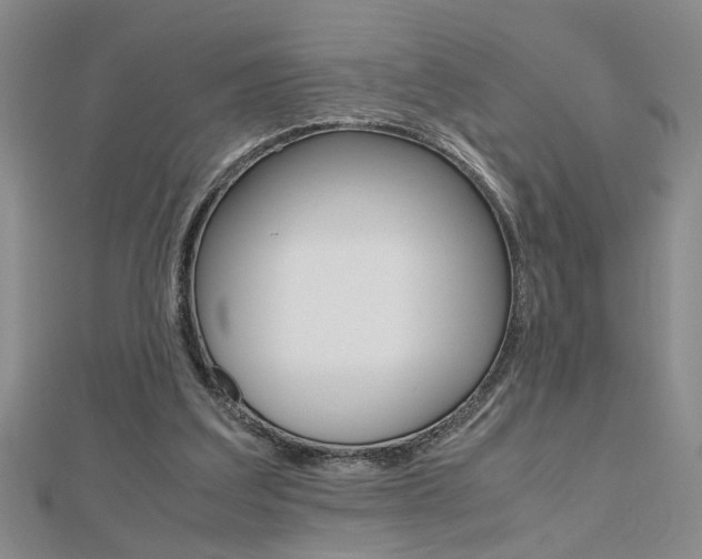 X0000112470203200908170958