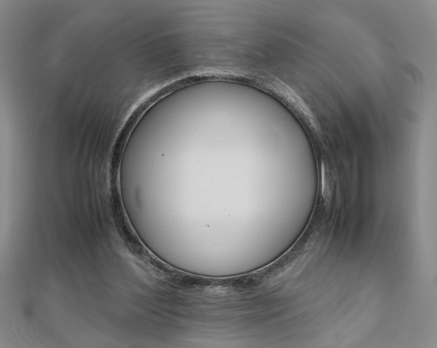 X0000112470204200908170958