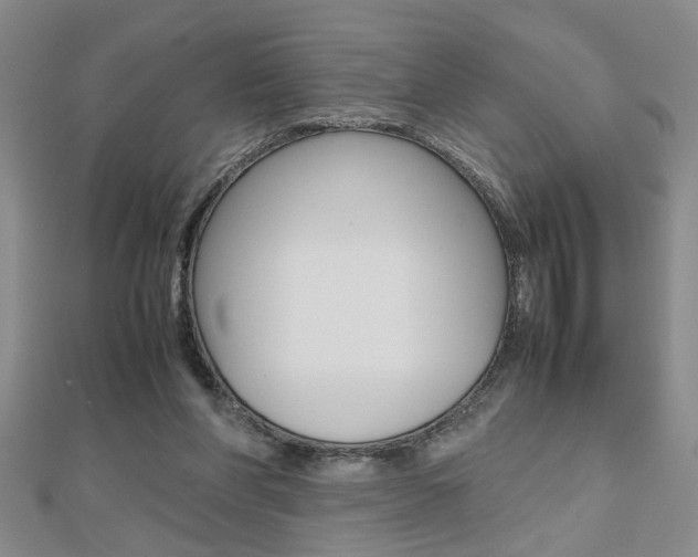X0000112470206200908170957