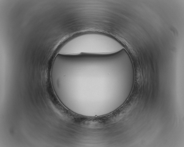 X0000112470208200908170957