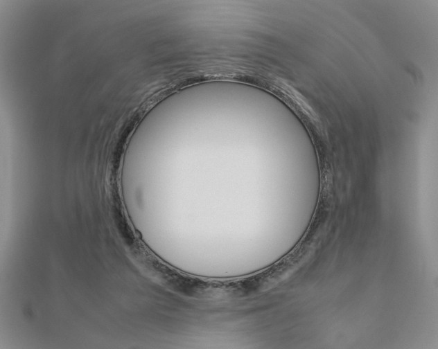 X0000112470209200908170957