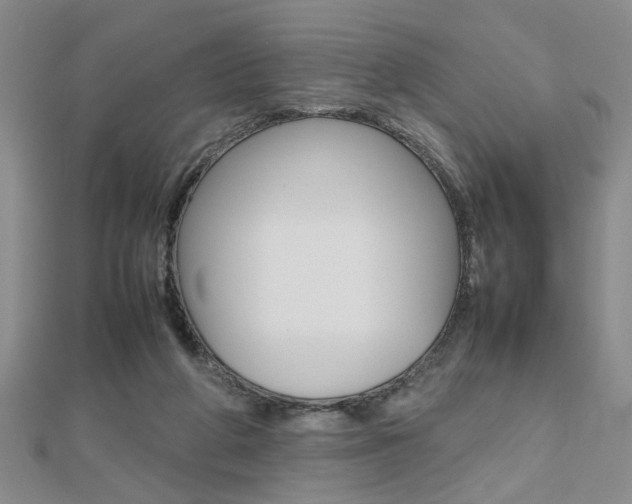 X0000112470210200908170957
