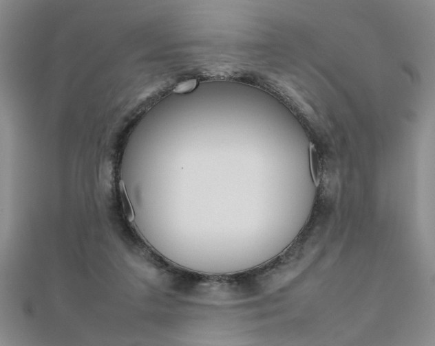 X0000112470211200908170957