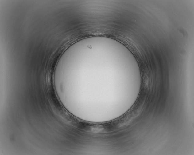 X0000112470214200908170957