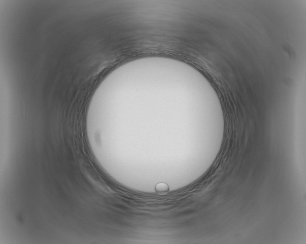 X0000112470215200908170957