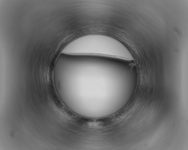 X0000112470216200908170957