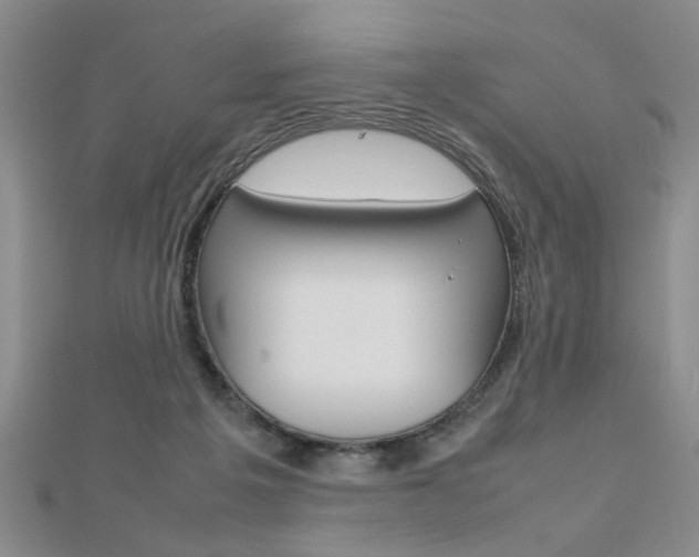 X0000112470217200908170957