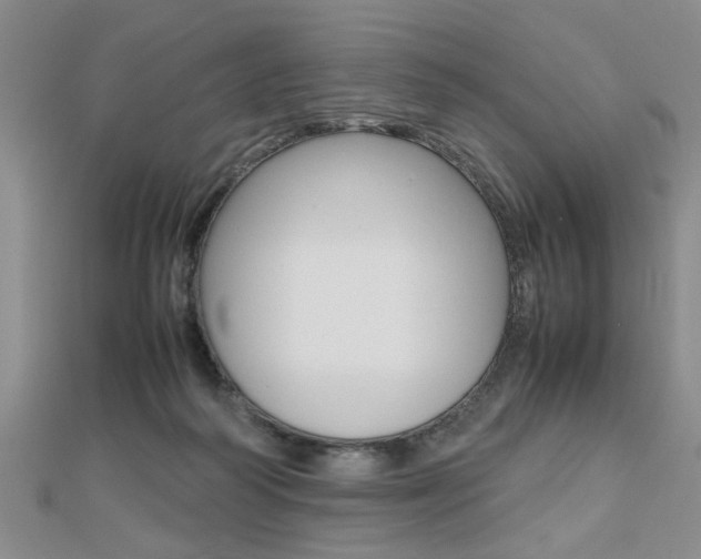 X0000112470218200908170957