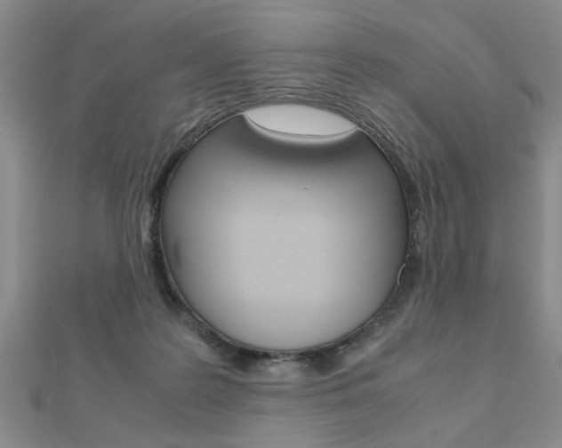 X0000112470219200908170957