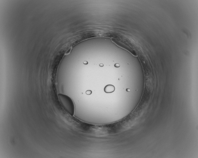 X0000112470221200908170957