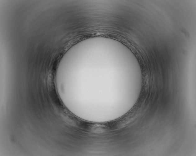 X0000112470222200908170957
