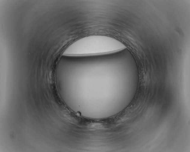 X0000112470224200908170957