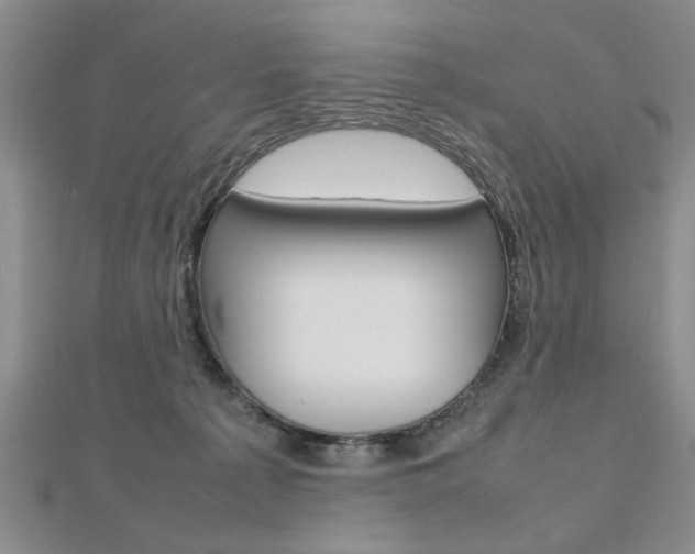 X0000112470225200908170957