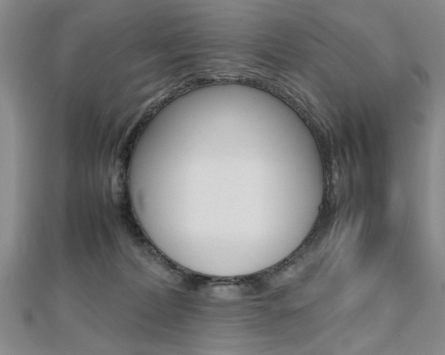 X0000112470228200908170957