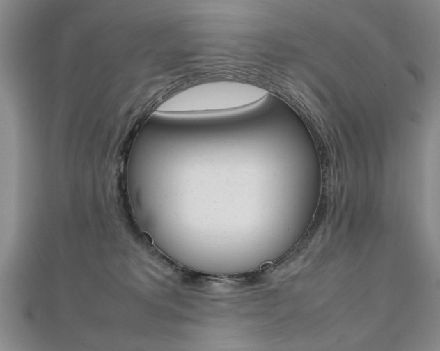 X0000112470229200908170957