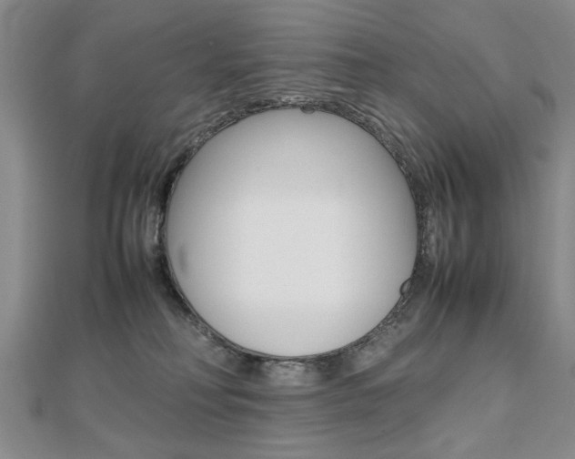 X0000112470230200908170957