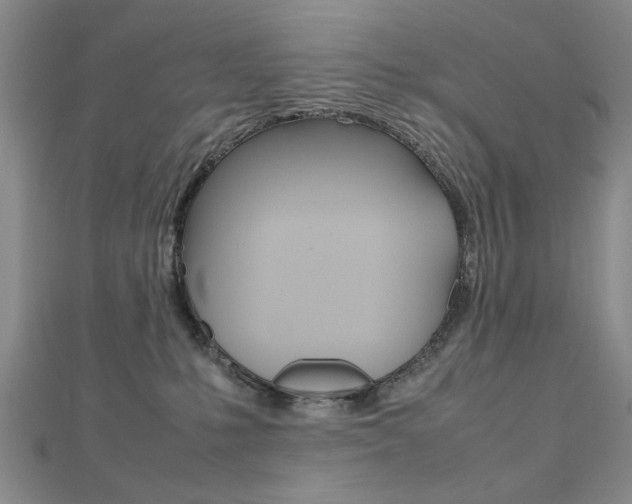 X0000112470231200908170957