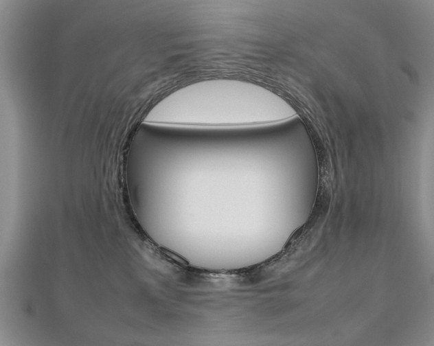 X0000112470233200908170957