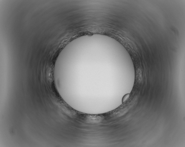 X0000112470234200908170957