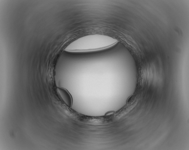 X0000112470236200908170957