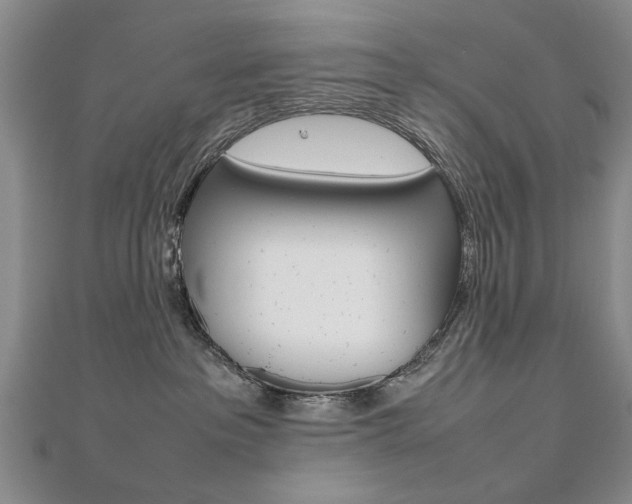 X0000112470237200908170957