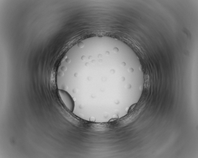 X0000112470238200908170957