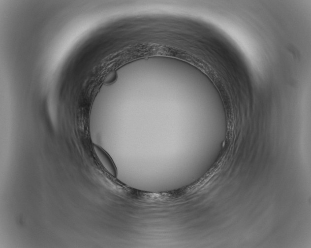X0000112470239200908170957