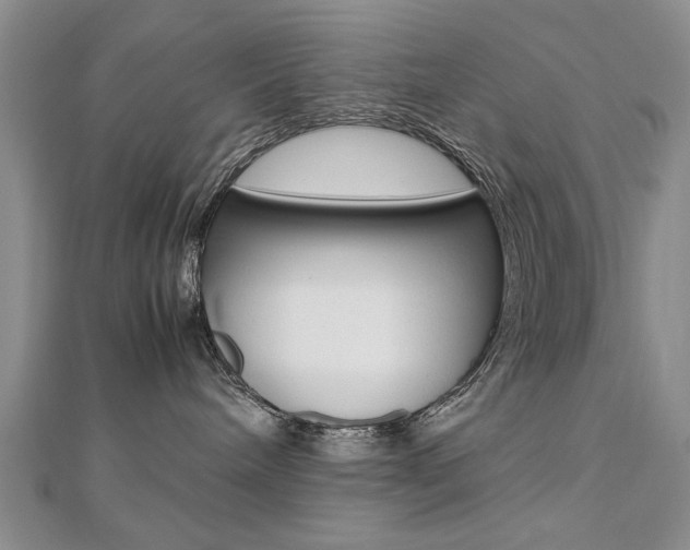 X0000112470240200908170957