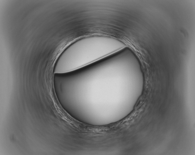 X0000112470241200908170956