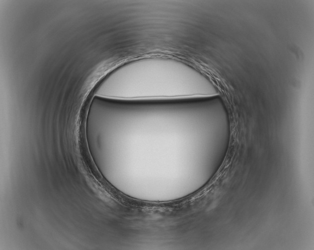 X0000112470242200908170956