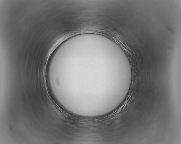 X0000112470244200908170956