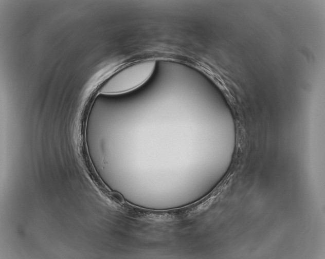 X0000112470245200908170956