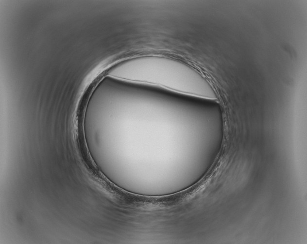 X0000112470246200908170957