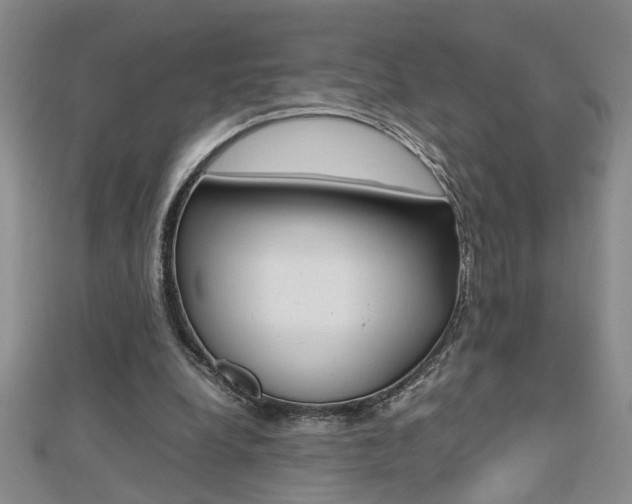 X0000112470248200908170957