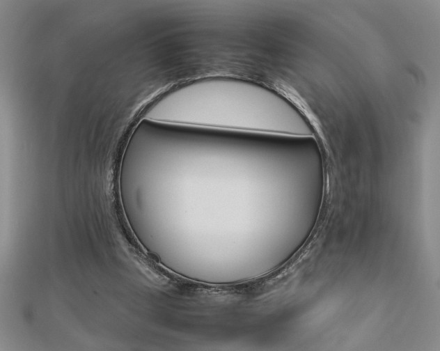 X0000112470249200908170957