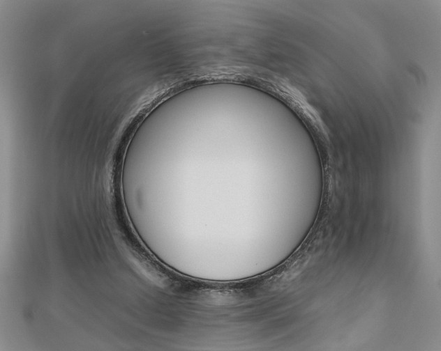 X0000112470250200908170957