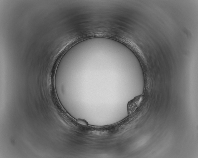X0000112470251200908170957
