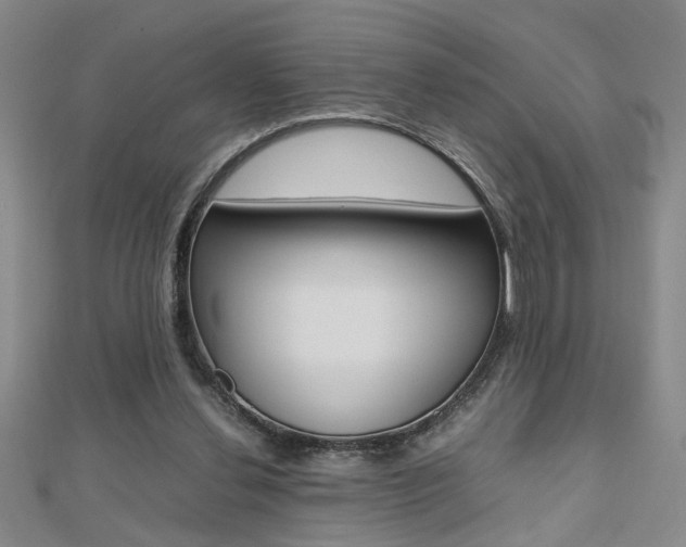 X0000112470252200908170957