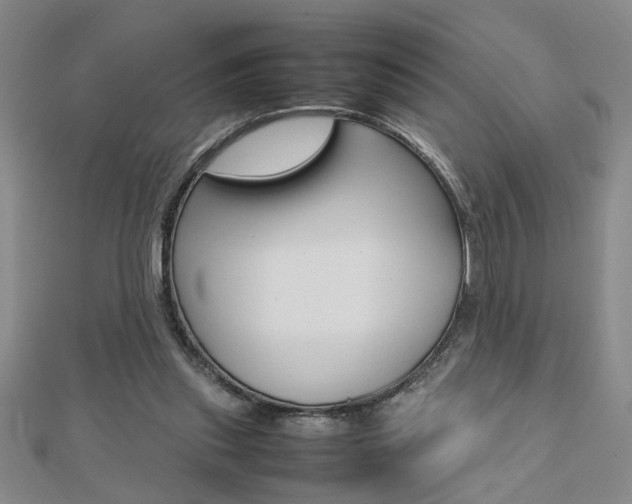 X0000112470253200908170957